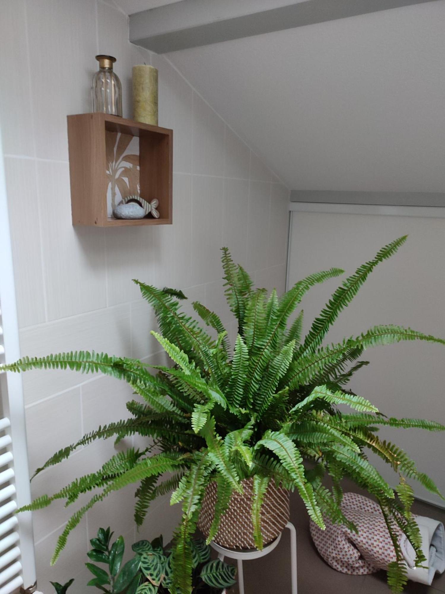 Location De Charme T3 Au 2e Etage Et Dernier Etage Cambo-les-Bains