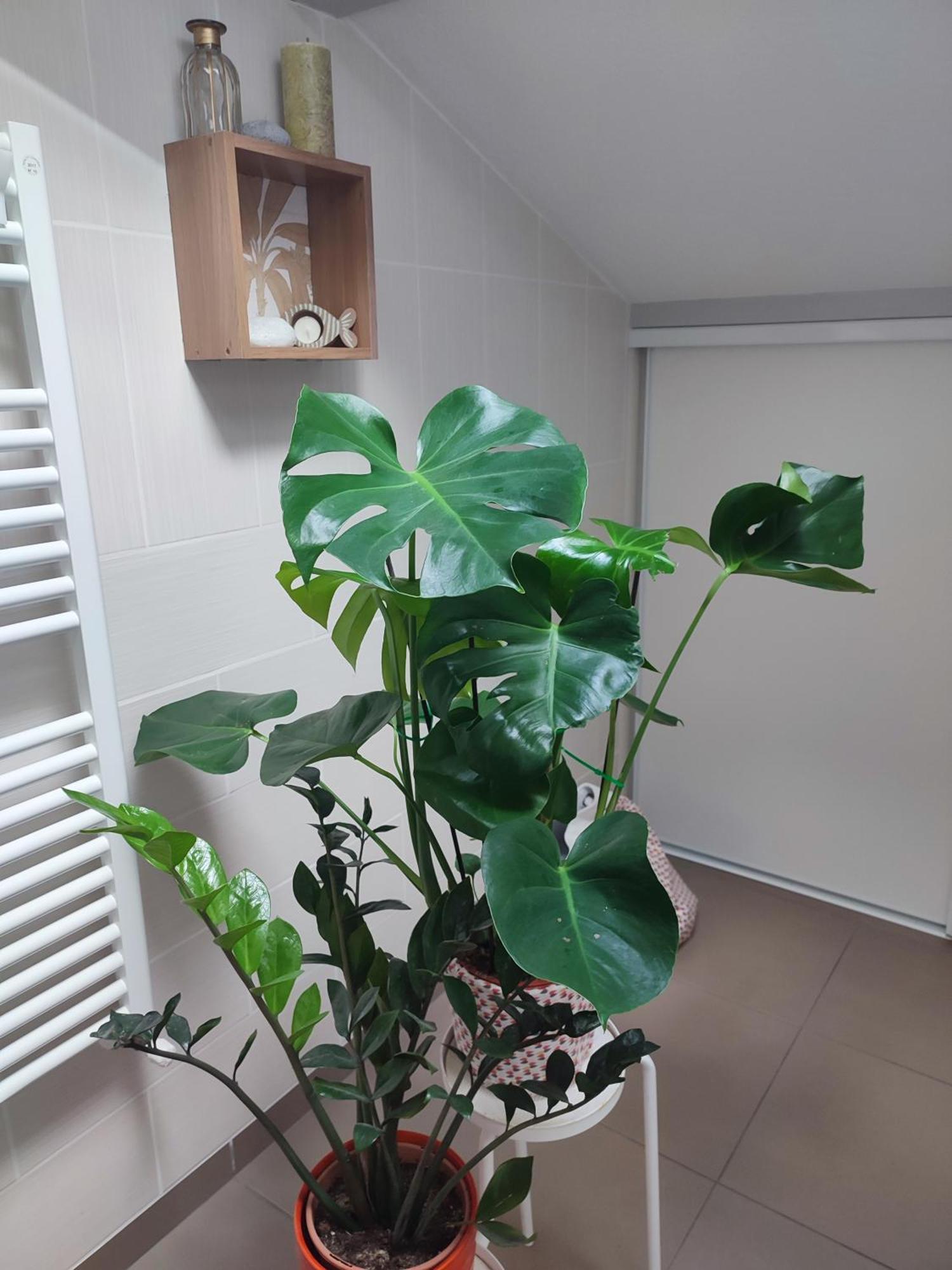 Apartment Location De Charme T3 Au 2e Etage Et Dernier Etage